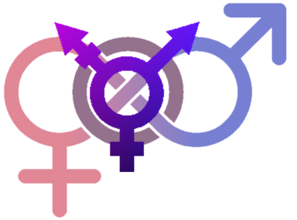 Fórum debate associação da transexualidade às doenças de transtornos sexuais